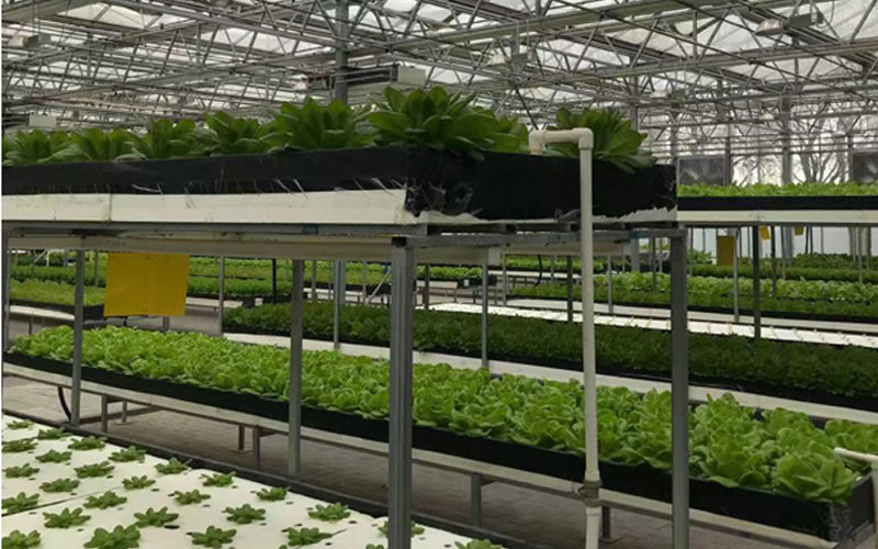 2121非凡·(中国游)体育官方网站